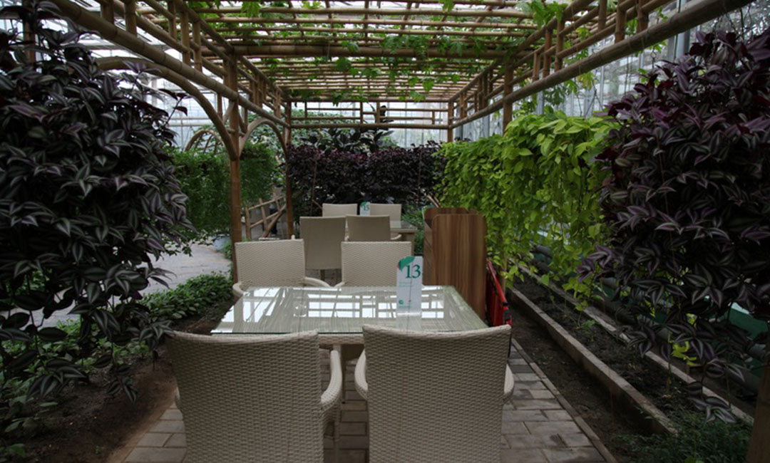 塔城康柏宇品牌文案撰写案例